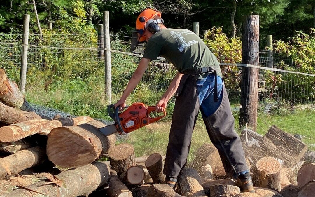 Providing Top Quality Firewood to Western and Central Massachusetts