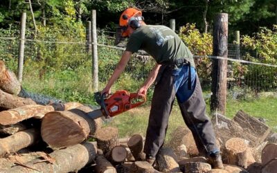 Providing Top Quality Firewood to Western and Central Massachusetts