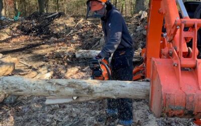 Providing Reliable Firewood Services in Western and Central Massachusetts