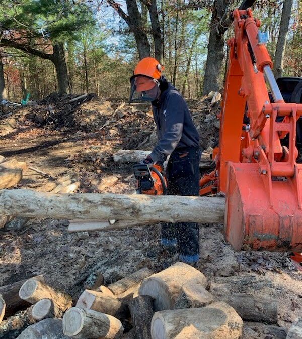 Providing Reliable Firewood Services in Western and Central Massachusetts